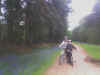 cycling in Sherwood Forest, Nottinghamshire